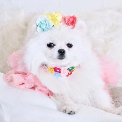 collier pour chien floral