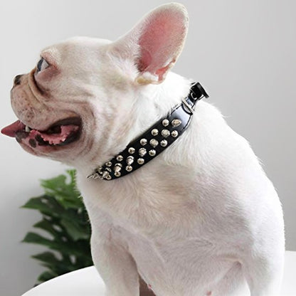 Collier pour Chien Matériau robuste
