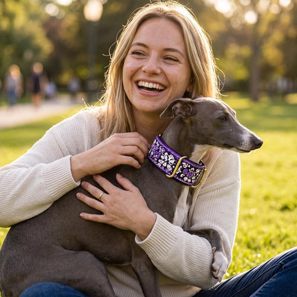Collier pour Chien Matière textile résistante