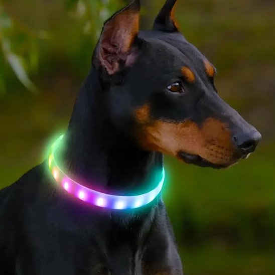 Collier pour chien Modes d'éclairage multiples