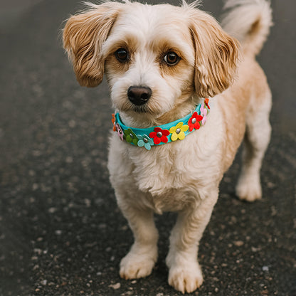 collier pour chien simili cuir