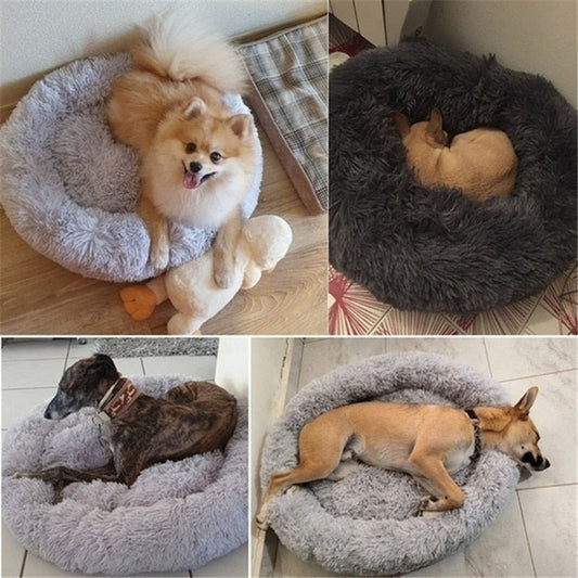 DoggyPouf™ - Coussin doux pour chien - Pattes Museau et Cie