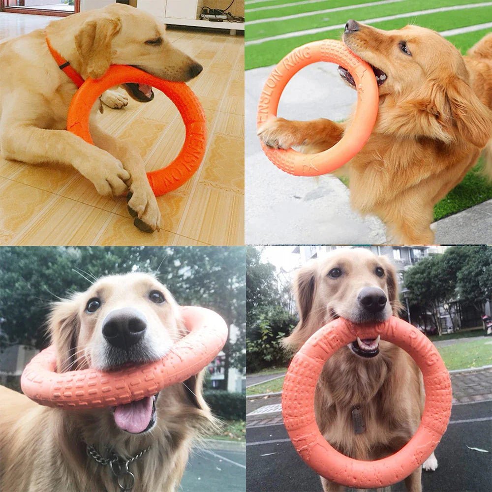 DogTrainingRing™ - Pattes Museau et Cie