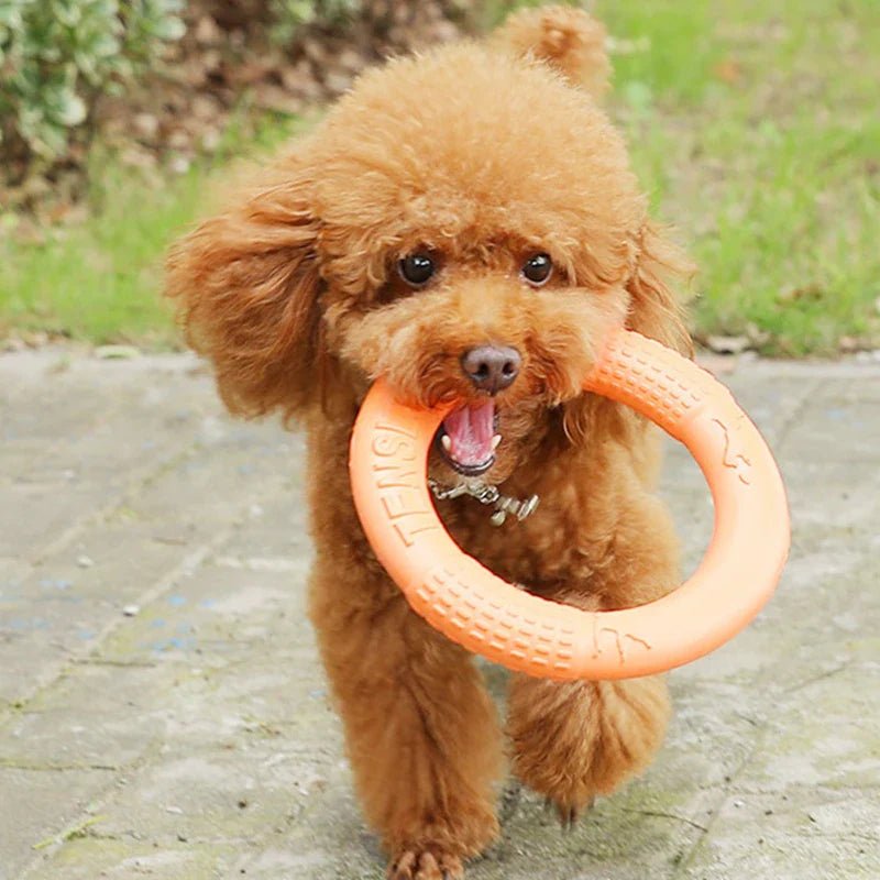 DogTrainingRing™ - Pattes Museau et Cie