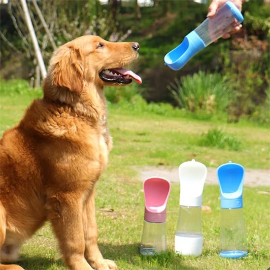 Gourde chien Fermeture hermétique