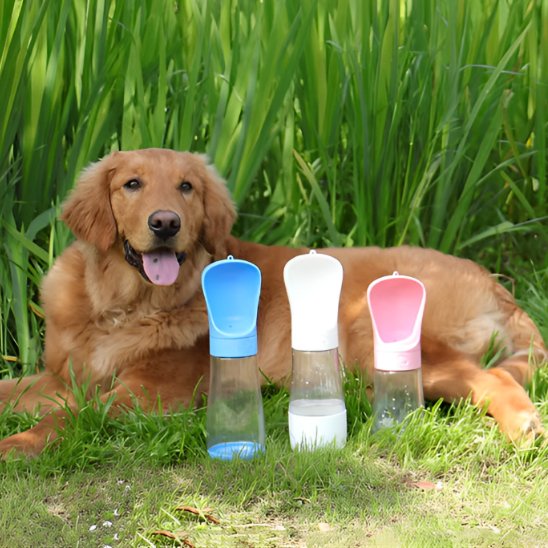 Gourde chien Formats disponibles 