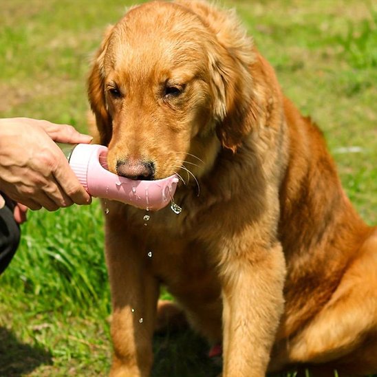 Gourde chien Manipulation une seule main