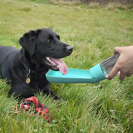 Gourde chien Réservoir d'eau intégré avec abreuvoir dépliable