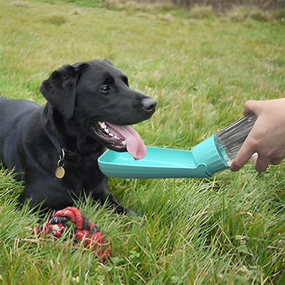 Gourde chien Réservoir d'eau intégré avec abreuvoir dépliable