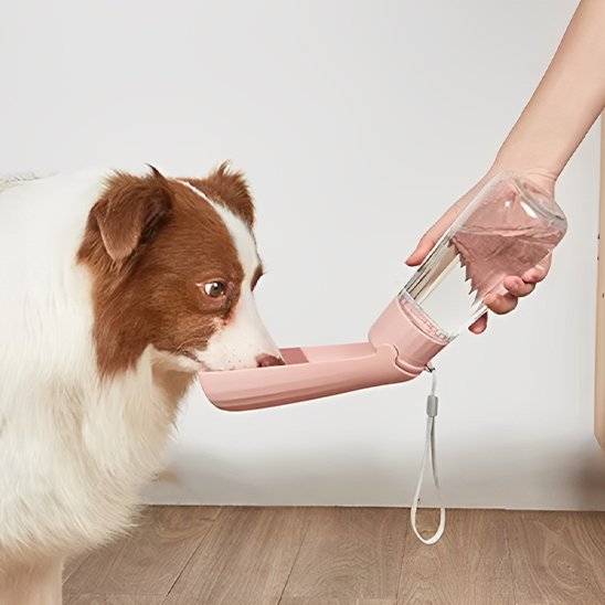 Gourde chien Système anti-fuite