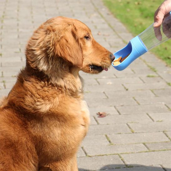 Gourde chien Usage nomade