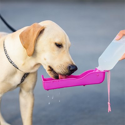 Gourde pour Chien Abreuvoir ergonomique
