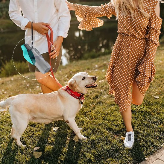 Gourde pour chien​ Abreuvoir rabattable transport pratique