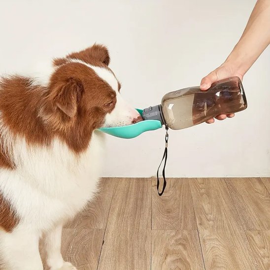 Gourde pour chien​ Bouteille 2 en 1