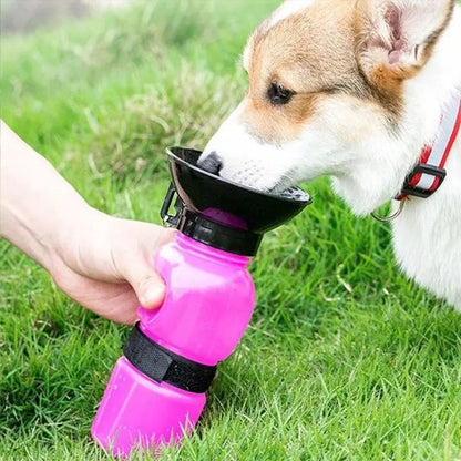 Gourde pour chien​ Capacité adaptée aux sorties