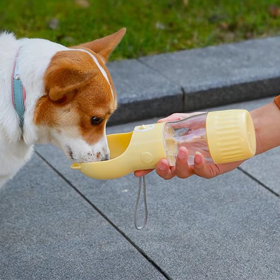 Gourde pour chien Design ergonomique avec dragonne