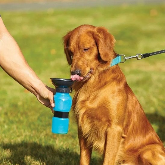 Gourde pour chien​ Design ergonomique