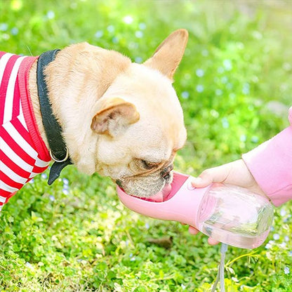 Gourde pour chien Étanchéité renforcée