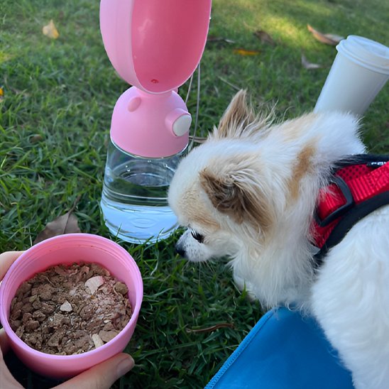 Gourde pour chien  Matériaux sans BPA