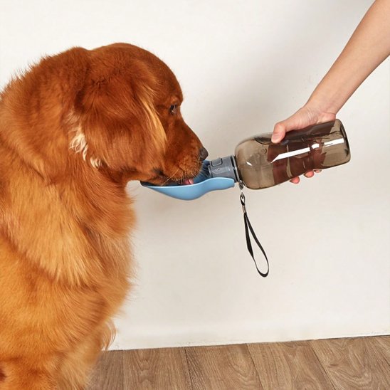 Gourde pour chien​ Matériaux sans danger