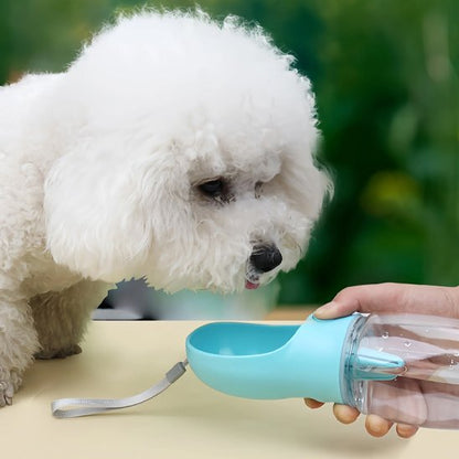 Gourde pour chien Matériaux transparents