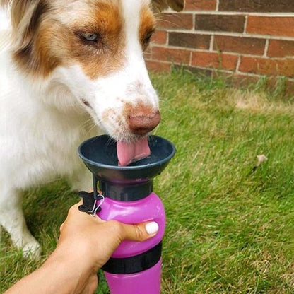 Gourde pour chien​ simple pression