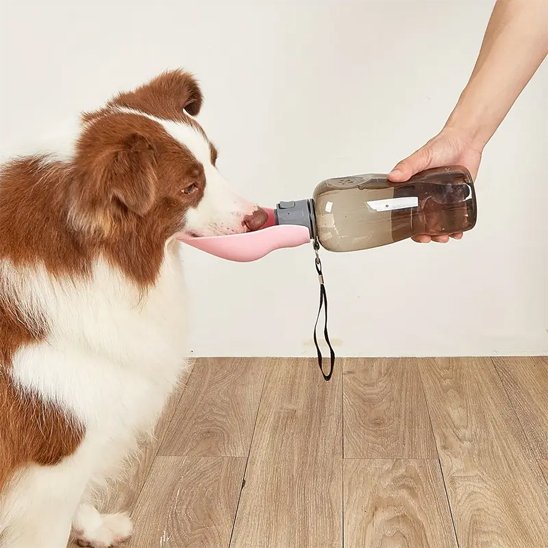 Gourde pour chien​ Utilisation intuitive avec bouton-poussoir