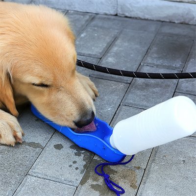 Gourde pour Chien Utilisation simple