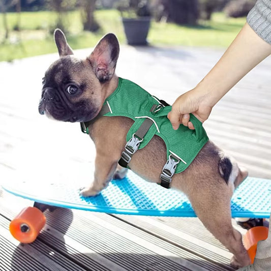harnais anti traction pour chien confort control