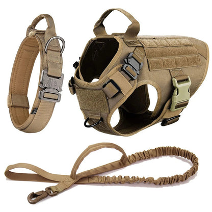 Harnais anti traction pour chien | Le Patte-Ron™