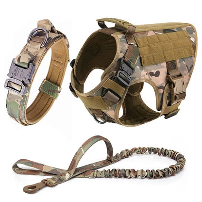 Harnais anti traction pour chien | Le Patte-Ron™