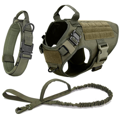 Harnais anti traction pour chien | Le Patte-Ron™