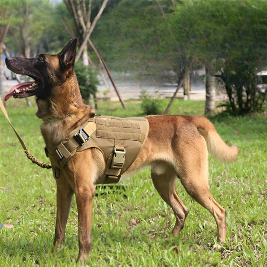 harnais anti traction pour chien meilleur connexion