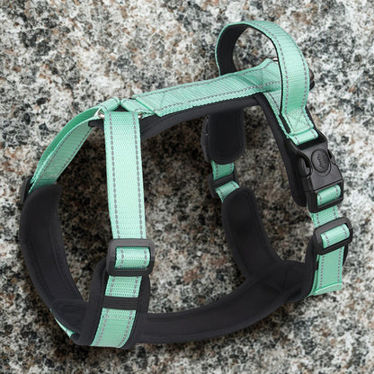 Harnais anti traction | Patteajoie™