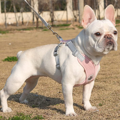 harnais chien anti traction en X sécurité