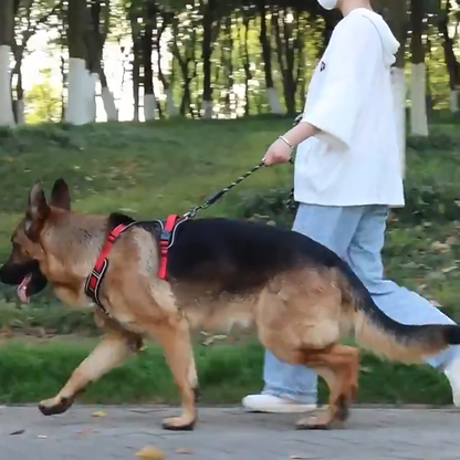 Harnais chien anti traction | StrongPatte