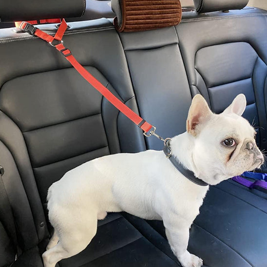 harnais chien confort réglable