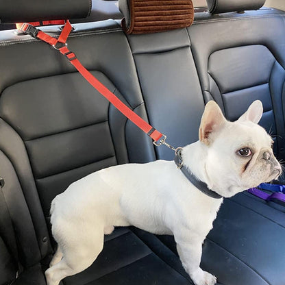 harnais chien confort réglable
