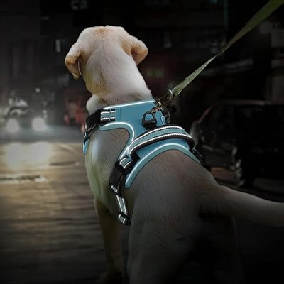 Harnais chien Matériaux réfléchissants