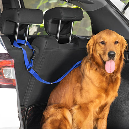 harnais chien nylon résistant