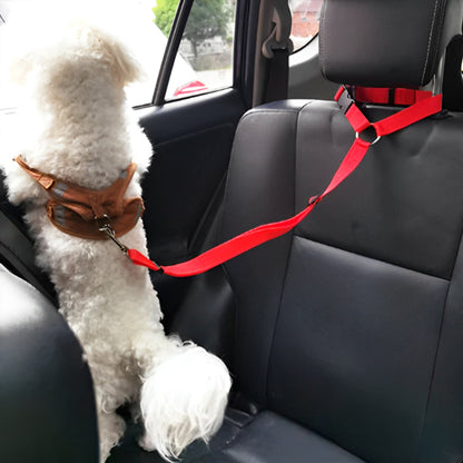 harnais chien toutes races