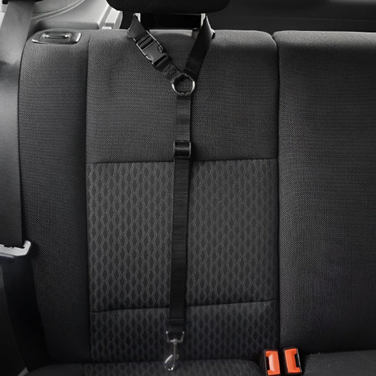 harnais chien voiture universel