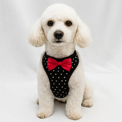 harnais petit chien classe pour lui