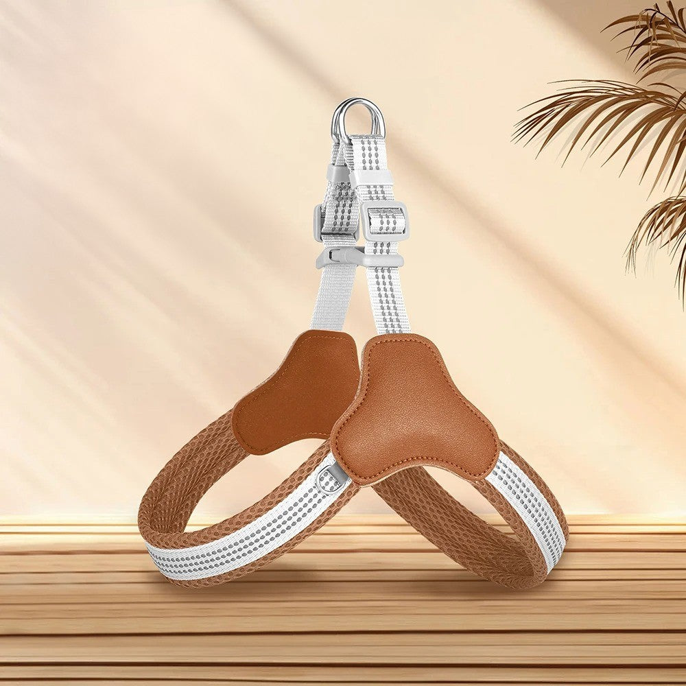Harnais pour chien | PetitePattes™