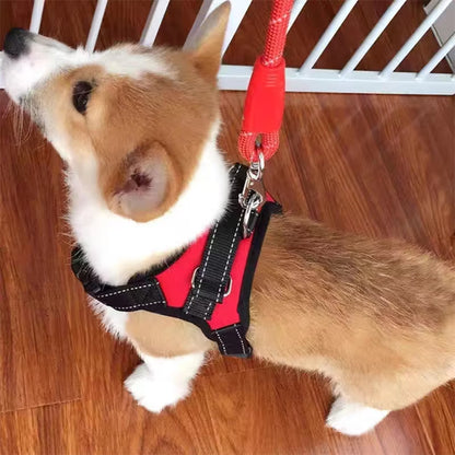 harnais pour chien et chiot