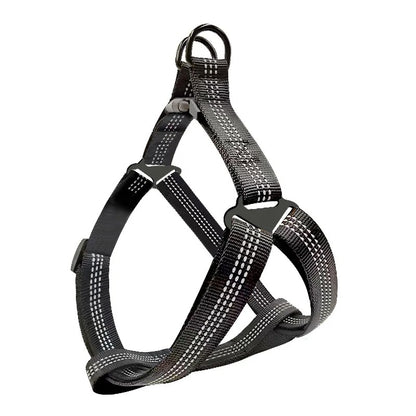 Harnais pour chien | EasyPattes™