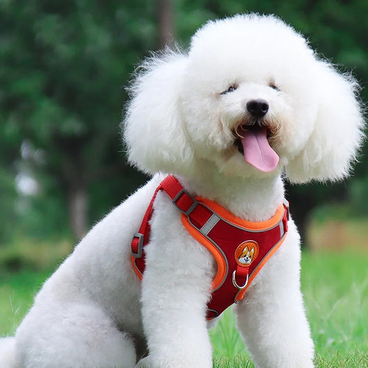 harnais pour chien reflechissant