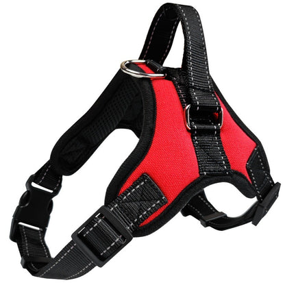 Harnais pour chien | Baladeux™