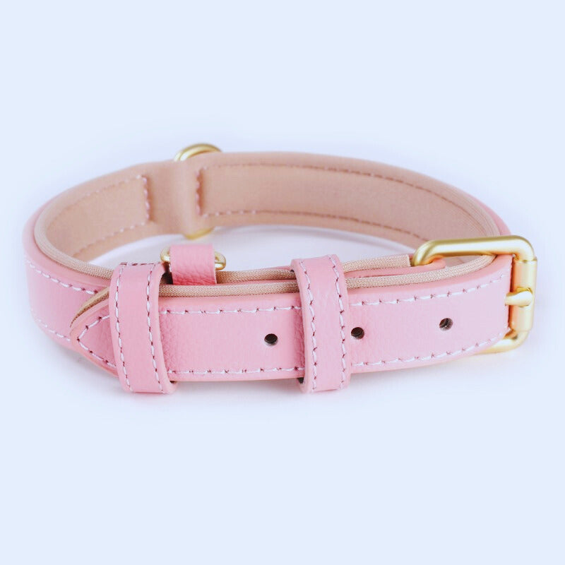 Collier pour chien en cuir | Simili Patte™