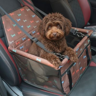 Siege auto pour chien | Patte Gardienne™